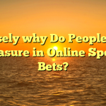 Precisely why Do People Take pleasure in Online Sports Bets?